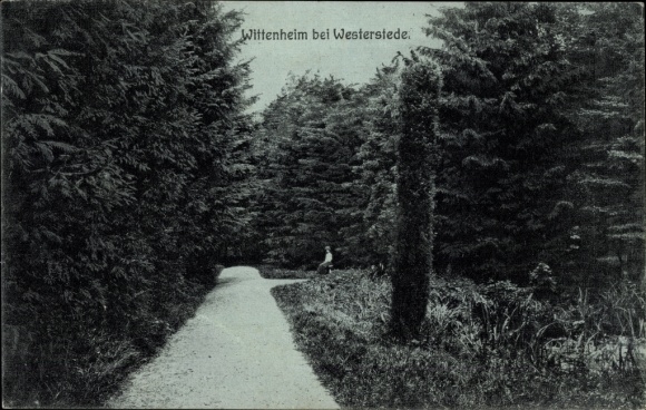 PC Wittenheim Westerstede in the district of Ammerland, path, park, vegetation