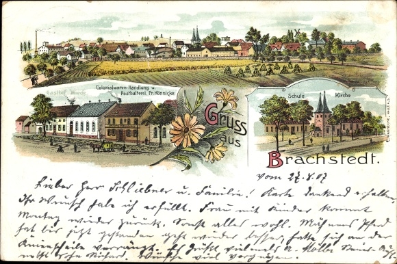 Litho Brachstedt Petersberg im Saalekreis, Kolonialwarenhandlung, Schule, Kirche, Totale