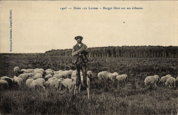 Postcard Langon Gironde, A shepherd on stilts guards his sheep in a meadow