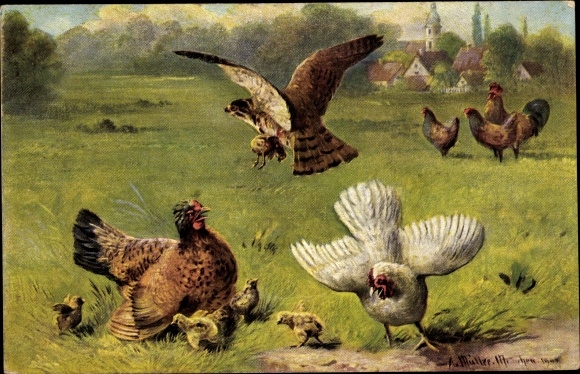 Artist PC Müller, A., hen with chicks, falcon with prey