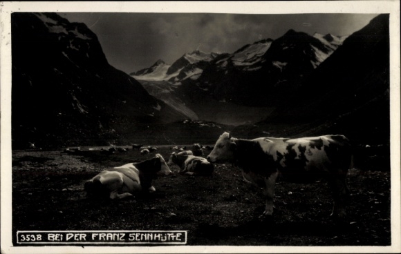 Postcard Neustift im Stubaital in Tyrol, landscape near Franz Senn Hütte, cows