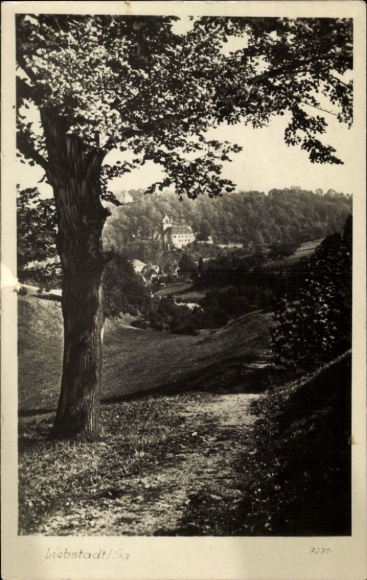 Postcard Liebstadt Erzgebirge Saxony, landscape with tree, part of view of building, nature