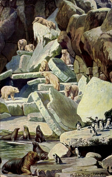 Artist Postcard de Bruycker, HvJ, Hamburg Eimsbüttel Stellingen, Carl Hagenbeck's Tierpark, Walruses