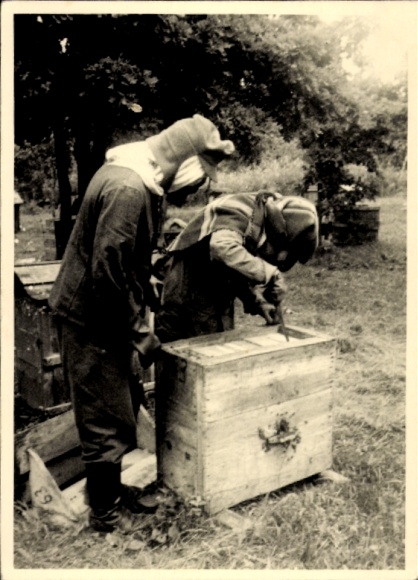 Photo Ukraine, beekeeper, Wehrmacht soldier, II WW