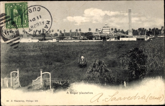 Postcard Kuba, sugar plantation