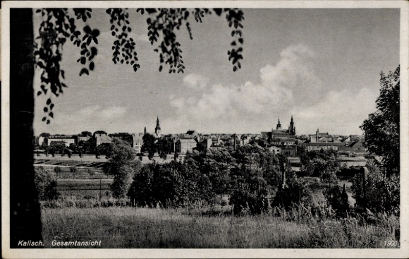 KP Kalisz Kalisch Posen, widok całkowity