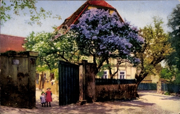 PC Mobschatz near Dresden, Flieder, Nenke and Ostermaier 251 No. 3990