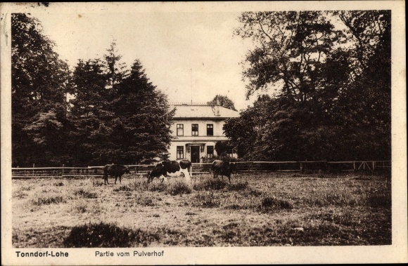 Ansichtkaart Hamburg Wandsbek Tonndorf Lohe, lot van Pulverhof, vee