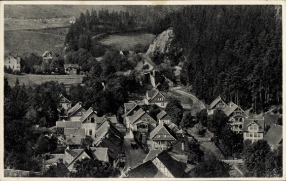 Ak Wildemann Clausthal Zellerfeld im Oberharz, Gesamtansicht