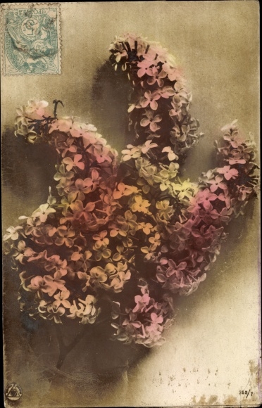Postcard Lilac, NPG 355/7