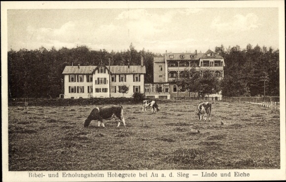 Postcard Hohegrete Splendor in the Westerwald, Bible and rest home Hohegrete, linden tree, oak, cows