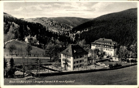 Postcard Bärenstein Altenberg Erzgebirge, view of Bärenfels, Kipsdorf, forest landscape, architectural...