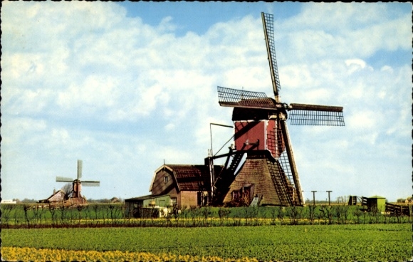 Picture Dutch windmills, meadow