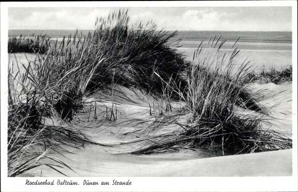 Ak Baltrum, duinen op het strand