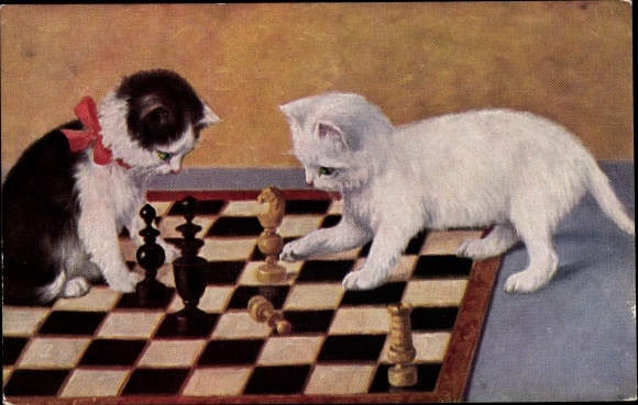 Artist Postcard Two young cats on a chess board