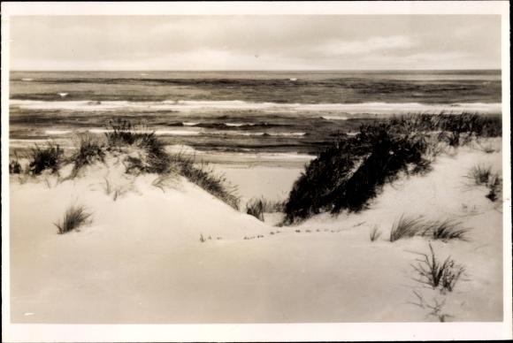 Postcard Insel Baltrum in Ostfriesland, dunes, sea