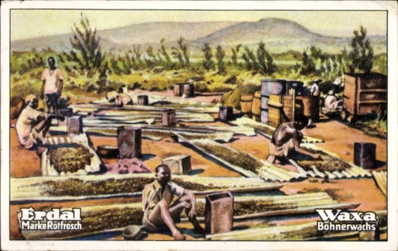 Collector's picture Erdal picture series, Rotfrosch brand, Waxa floor wax, German East Africa, coffee planting