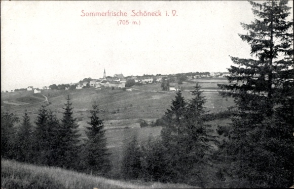 Ak Schöneck im Vogtland, Panorama