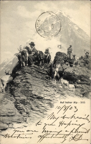 Ak Schweiz, Auf hoher Alp, Ziegen
