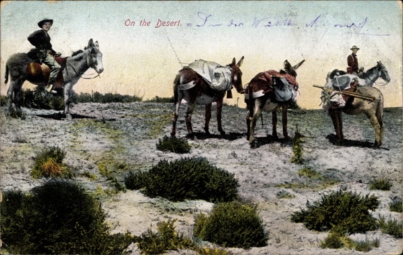 Ak USA, On the Desert, ruiters, pakpaarden