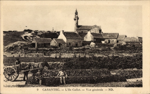 KP Carantec Finistère, L'île Callot, widok ogólny, architektura, koń, powóz