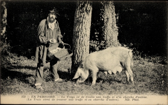 Postcard Perigord Dordogne, farmer, pig, truffle