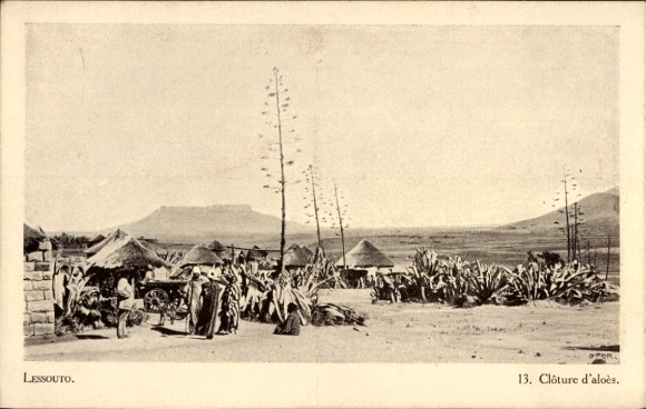 Ak Basutoland Lesotho, Landschaftsbild, Menschen, Aloepflanzen, Hütten