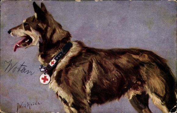 Kunstenaarskaart Heide, JW vd, doktershond, Duitse Herder