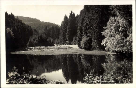 Postcard Ilmenau in Thuringia, pond view, forest