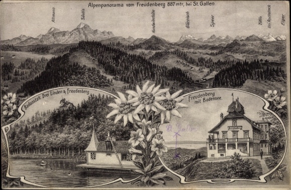 KP St. Gallen miasto Szwajcaria, panorama alpejska, Freudenberg, Jezioro Bodeńskie, Edelweiss