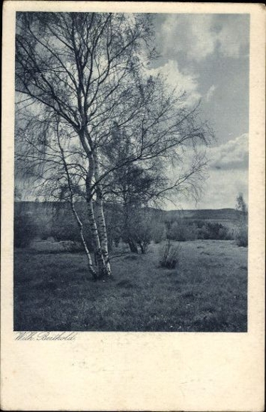 9 old artist PC photographs, various motives