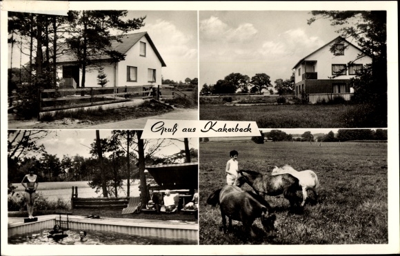 Postcard Kakerbeck Ahlerstedt district of Stade in Lower Saxony, Pension Gabert, swimming pool, horses