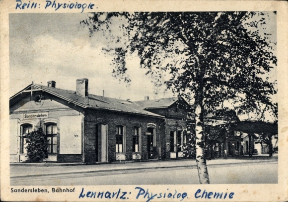 Postcard Sandersleben in Anhalt, train station