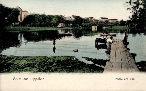 Ak Lippehne Lipiany Ostbrandenburg, am See, Steg