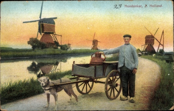Postcard South Holland, Hondenkar, dog carts, windmills