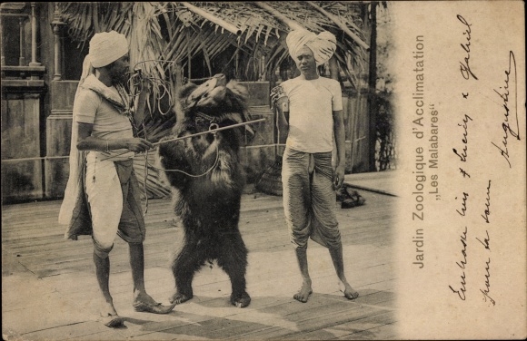 Postcard Paris XVI, Zoological Garden of Acclimatization, the Malabars, Inder, Bär