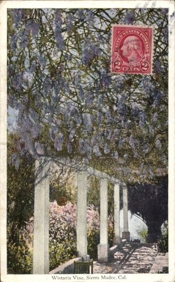 PC Californië VS, Wistaria Vine, Sierra Madre