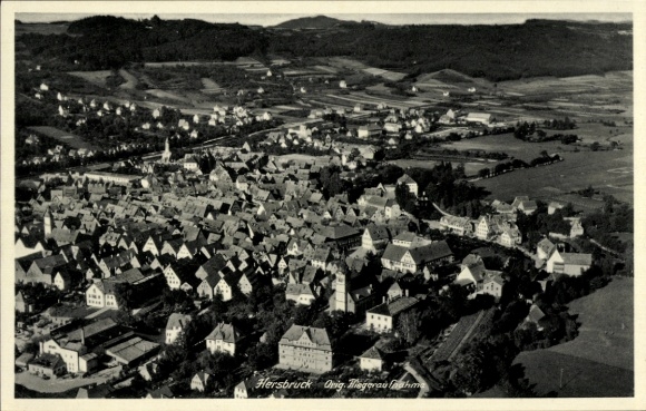 Ak Hersbruck in Mittelfranken, Luftaufnahme von  Häuseransicht, grüne Landschaft