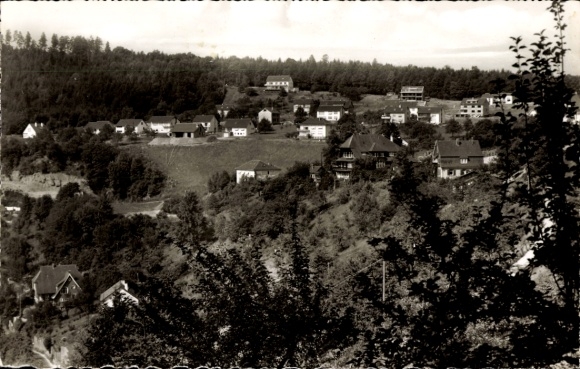 Postcard Neuenburg am Rhein Baden, general view