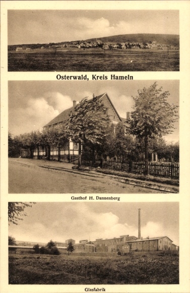 Ak Osterwald Salzhemmendorf, Gesamtansicht, Gasthof H. Dannenberg, Glasfabrik