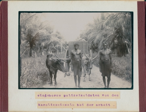 Photo Carolines, colony, around 1900, native police soldiers, back: Bangkok, white elephant