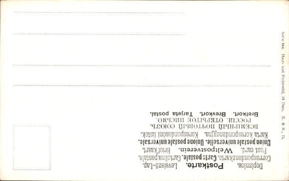 Artist Postcard Müller, M. jun., Wild boar in the forest, Boar