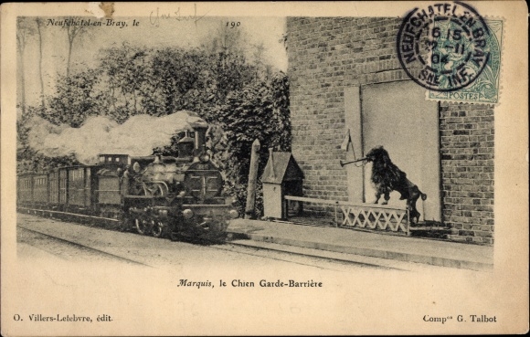 Ak Neufchatel en Bray Seine Maritime, Marquis, le Chien Garde Barriere, Damnpflok