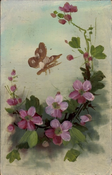 Hand painted ak butterfly and flowers