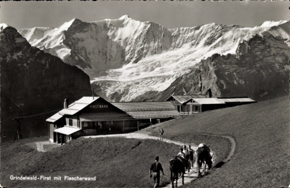 Postcard Grindelwald Canton of Bern, Schreckhörner and Fischerwand, mountain restaurant First