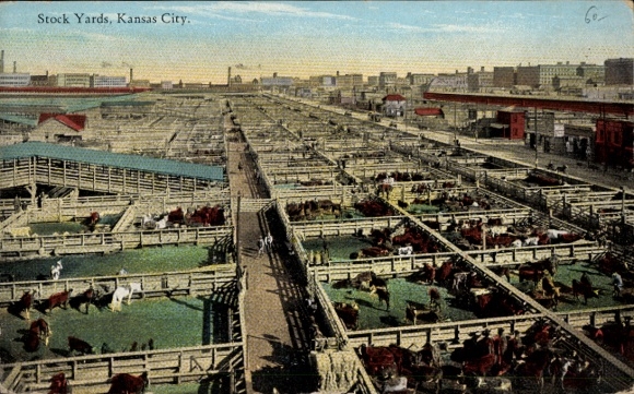 Ak Kansas City Kansas USA, Stock Yards, levendige veemarkten, grote stallen, talrijke runderen