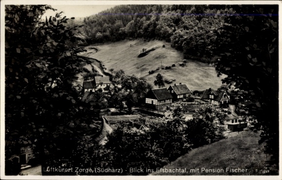 KP Zorge Walkenried w górach Harz, uzdrowisko klimatyczne z widokiem na dolinę Elsbach, pensjonat Fischer, wiejski krajobraz...
