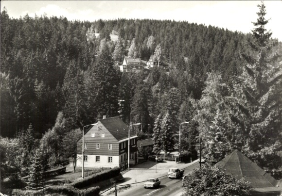 Ak Bärenburg Altenberg im Erzgebirge, Schöne Landschaft, Bäume, Gebäude, Straßenansicht