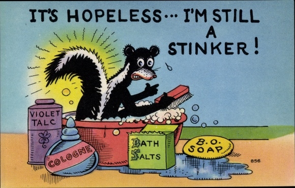 Artist Postcard It&#39;s hopeless, I&#39;m still a Stinker, skunk in bathtub, soap, perfume