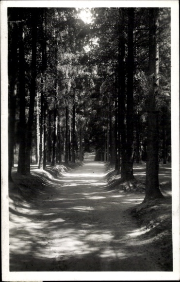Ak Lázně Bohdaneč Bohdanetsch Reg. Pardubice, Waldweg